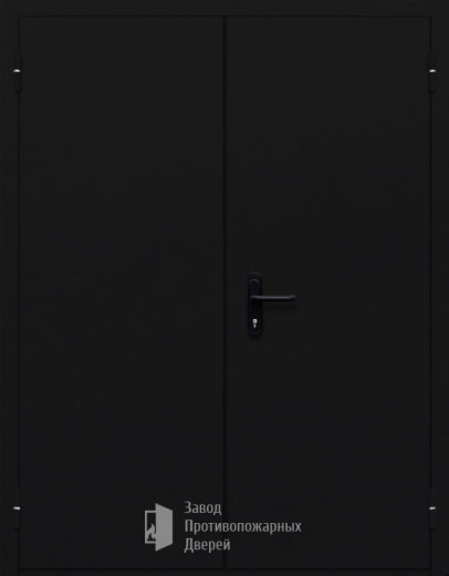 Фото двери «Двупольная глухая №34» в Пущино