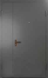 Фото двери «Техническая дверь №6 полуторная» в Пущино